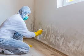 Best Mold Prevention Services in West Hill, OH